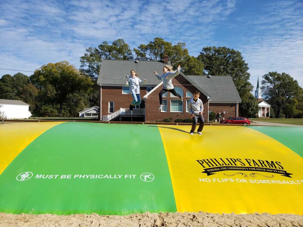 Family day jumping pillow