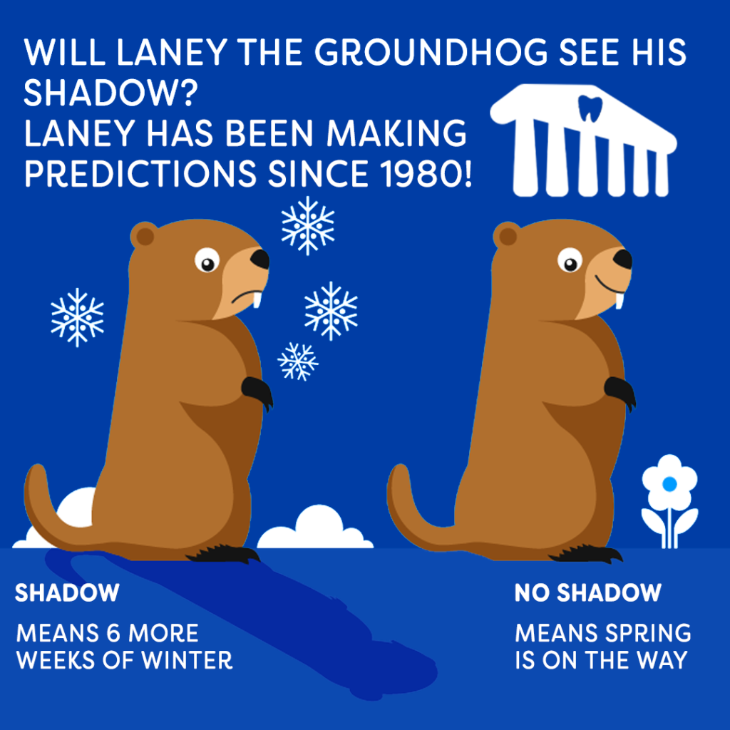 Groundhog day Laney