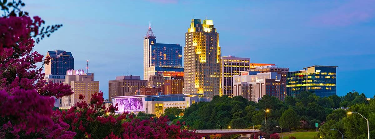 best raleigh dentist