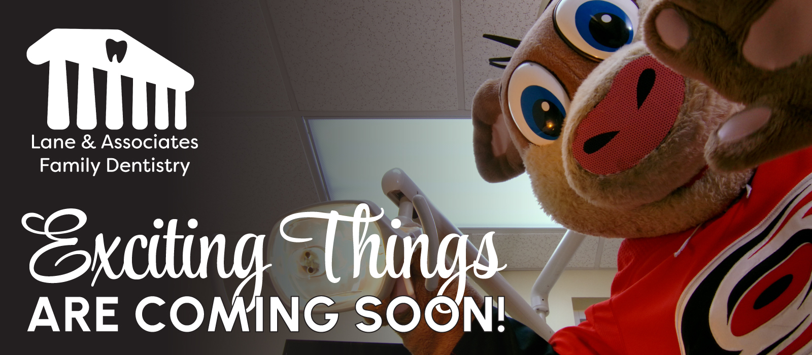 Exciting things happening at Lane and Associates with Stormy the Mascot.